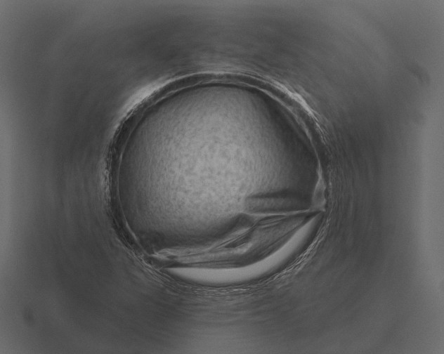 X0000116551311200912241547