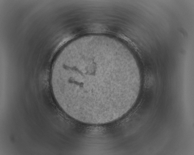 X0000116551314200912241547