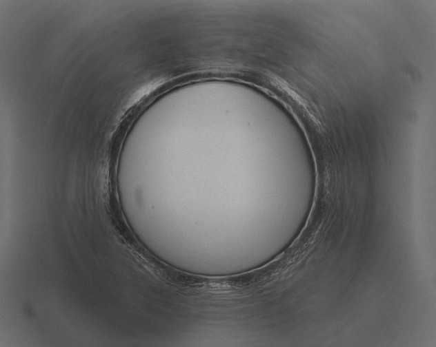 X0000116551315200912241548