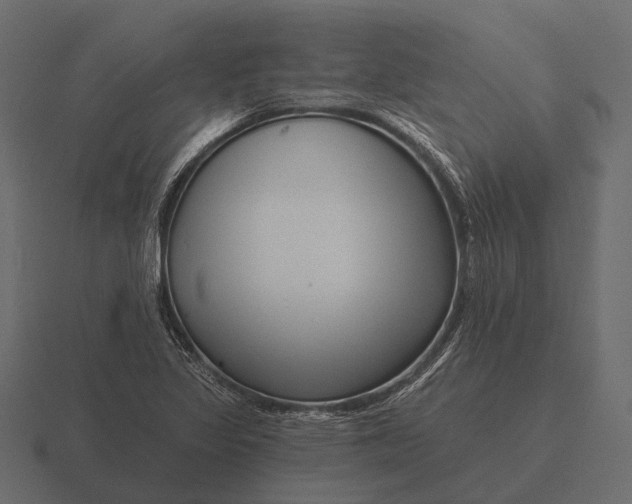 X0000116551317200912241548