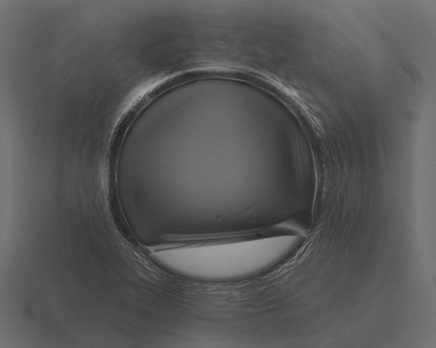 X0000116551319200912241548