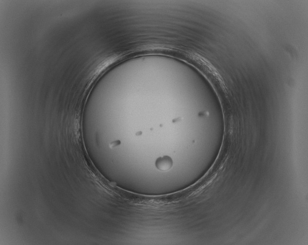 X0000116551321200912241548