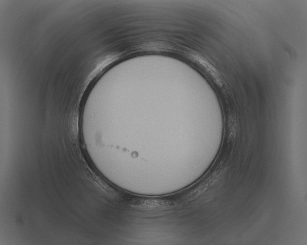 X0000116551322200912241548