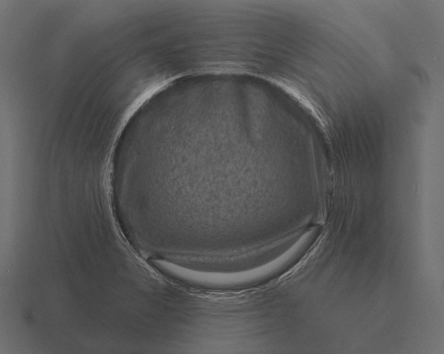 X0000116551325200912241548