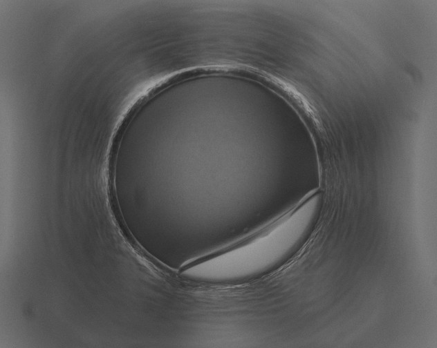 X0000116551327200912241548