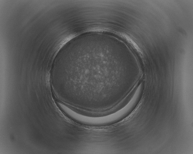 X0000116551329200912241548