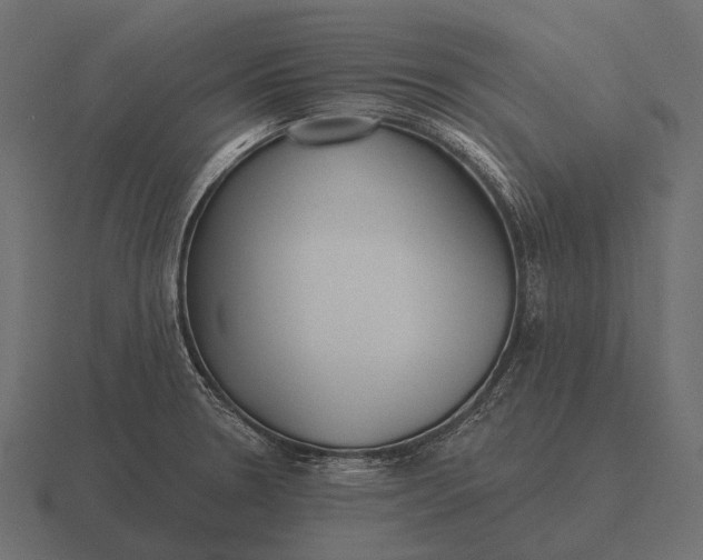 X0000116551330200912241548