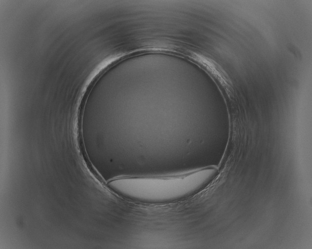 X0000116551331200912241548