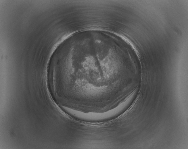 X0000116551333200912241548