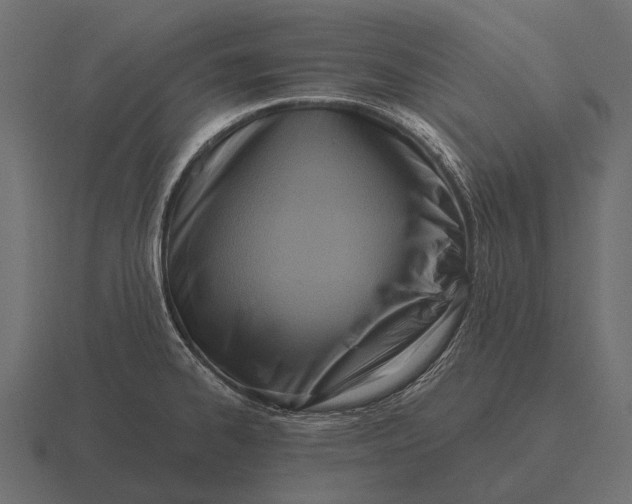 X0000116551334200912241548