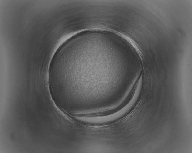 X0000116551335200912241548