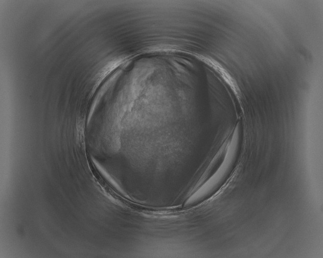 X0000116551337200912241548