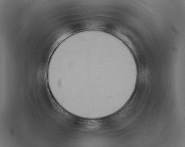 X0000116551338200912241548