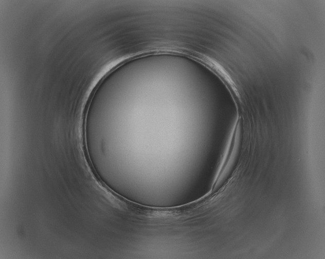 X0000116551339200912241548