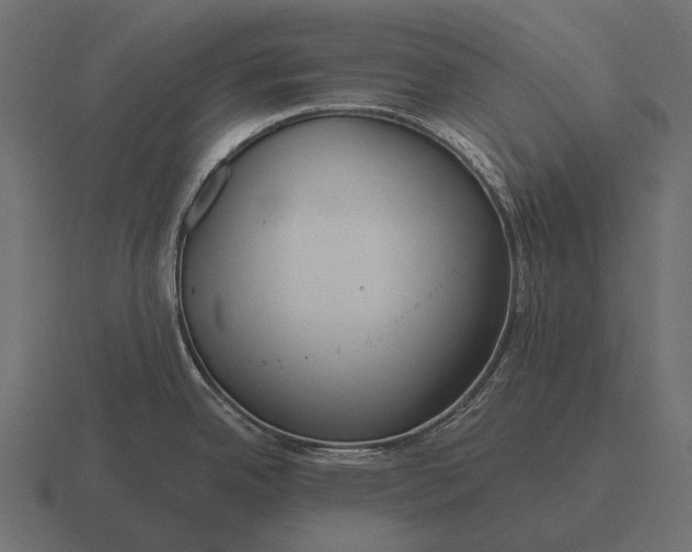 X0000116551342200912241548