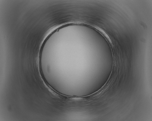 X0000116551343200912241548