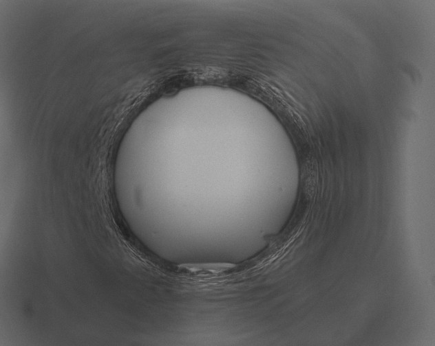 X0000116551345200912241547