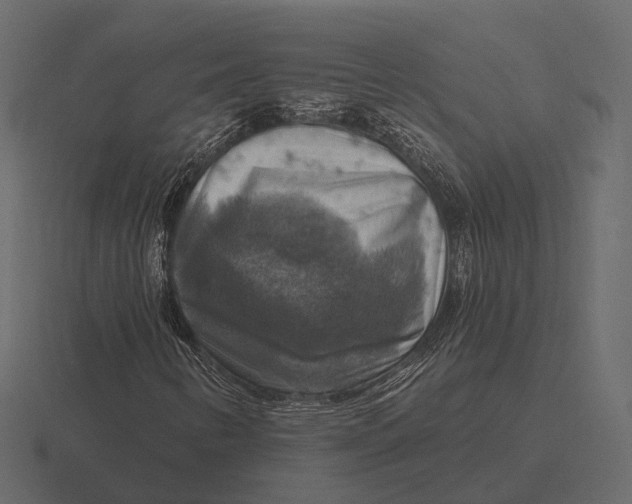 X0000116551346200912241547