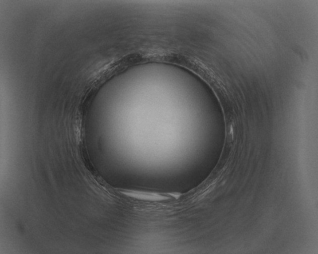 X0000116551348200912241547