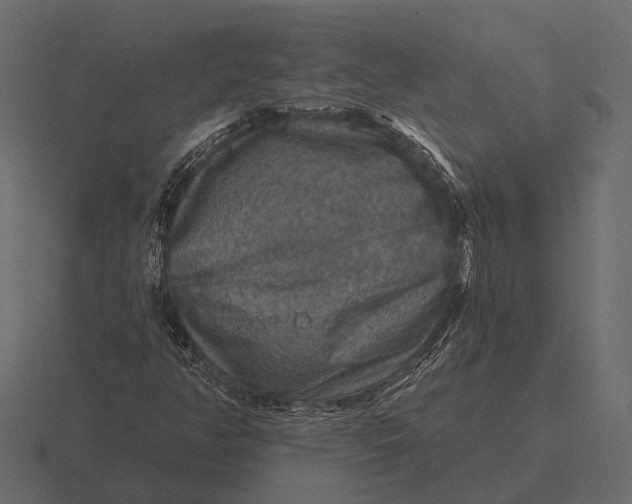 X0000116551350200912241547