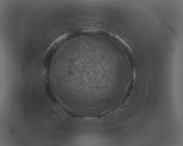 X0000116551351200912241547