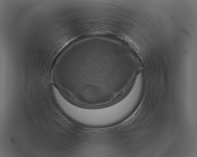 X0000116551353200912241547