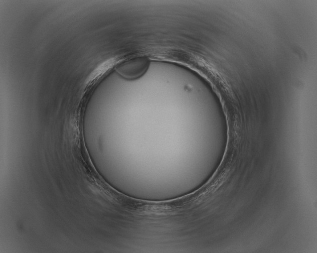 X0000116551354200912241547