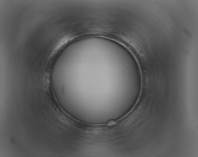 X0000116551355200912241547