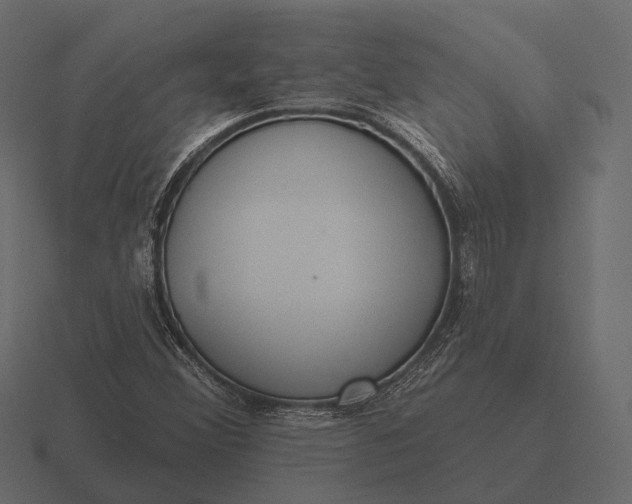 X0000116551356200912241547