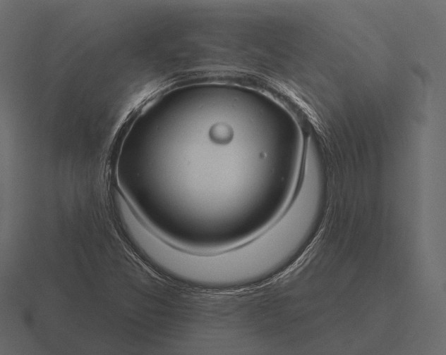 X0000116551357200912241547