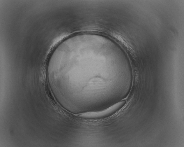 X0000116551358200912241547