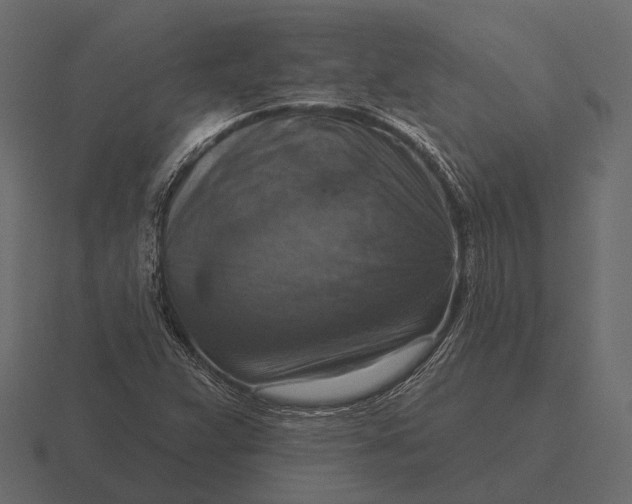 X0000116551359200912241547