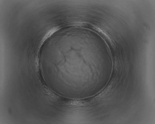 X0000116551362200912241547