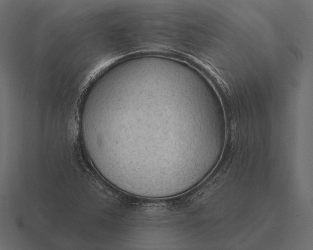 X0000116551363200912241547