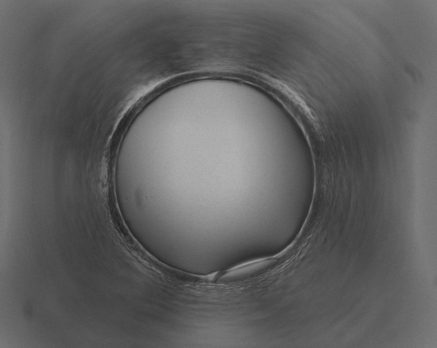 X0000116551364200912241547