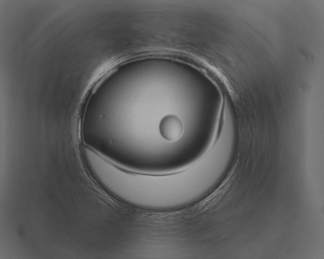 X0000116551365200912241547