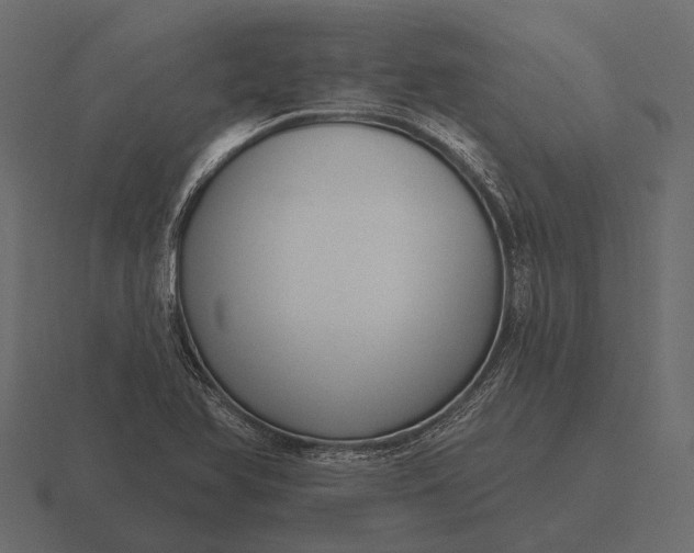 X0000116551366200912241547