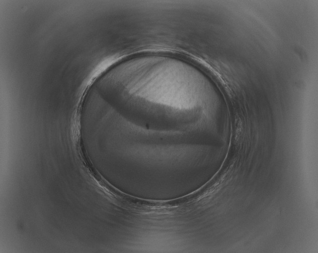 X0000116551367200912241547