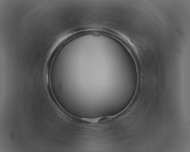 X0000116551368200912241547