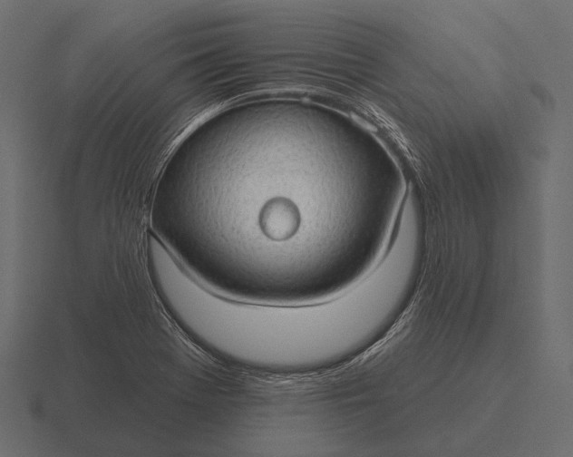 X0000116551369200912241547