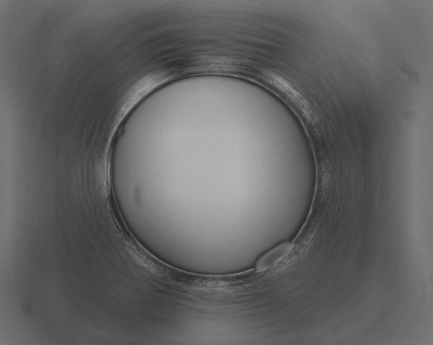 X0000116551370200912241547