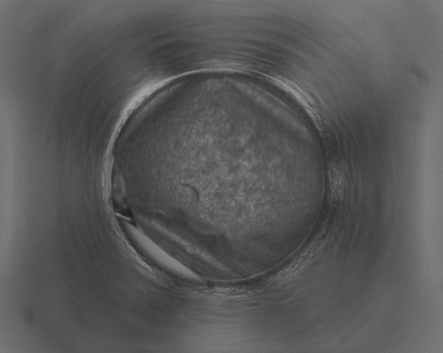 X0000116551371200912241547