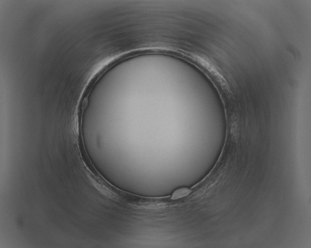 X0000116551372200912241547