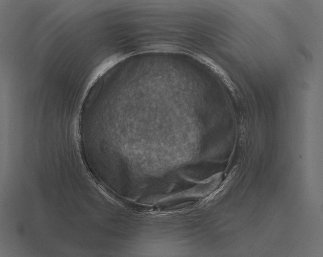 X0000116551373200912241547