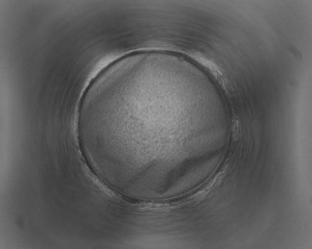 X0000116551374200912241547