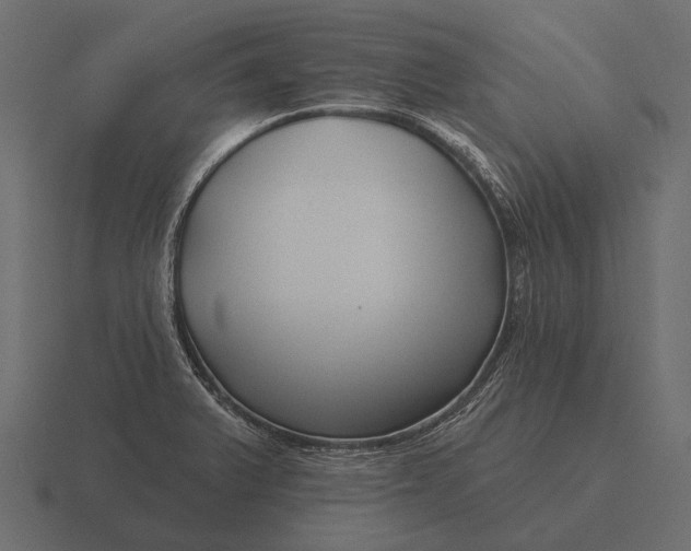 X0000116551375200912241547