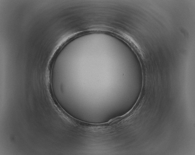 X0000116551376200912241547