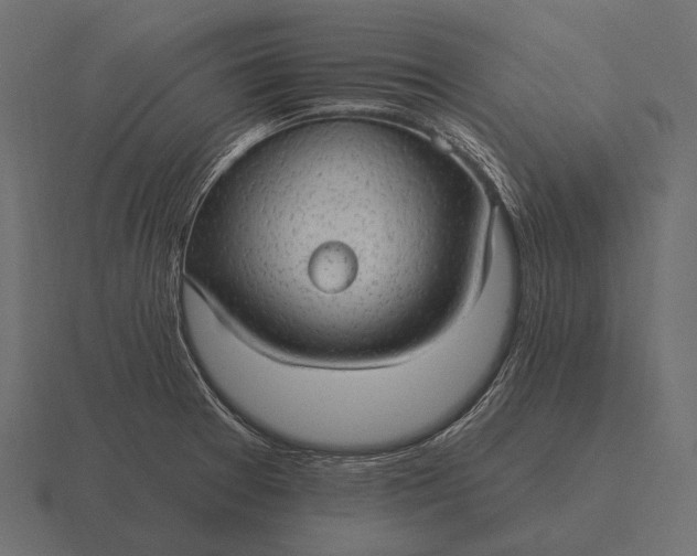 X0000116551377200912241547