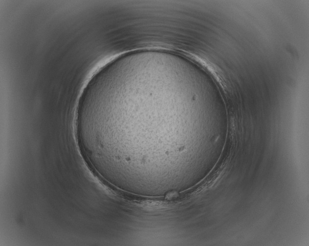 X0000116551379200912241547