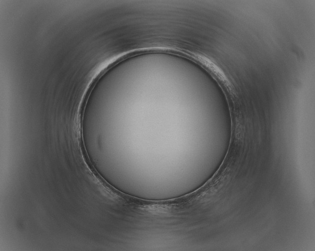 X0000116551380200912241547